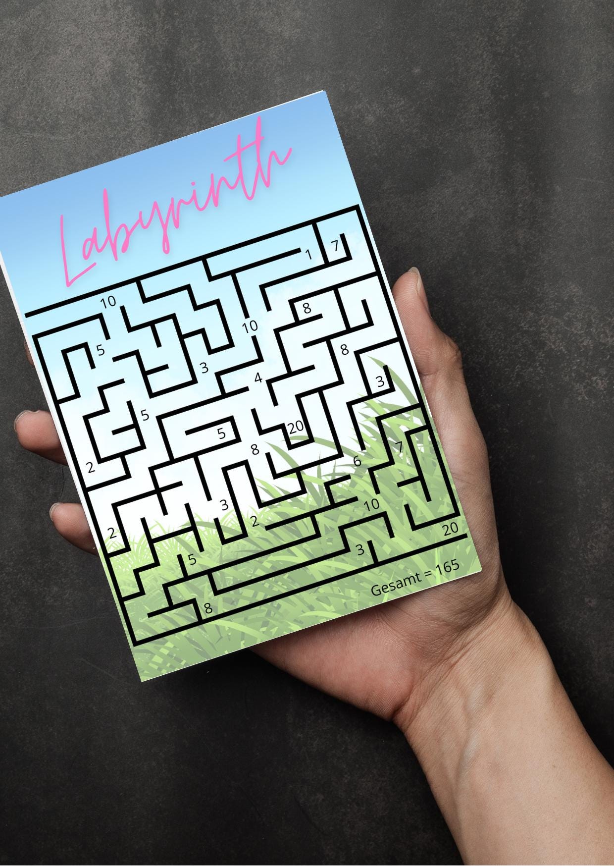 Labyrinth Sparchallenge