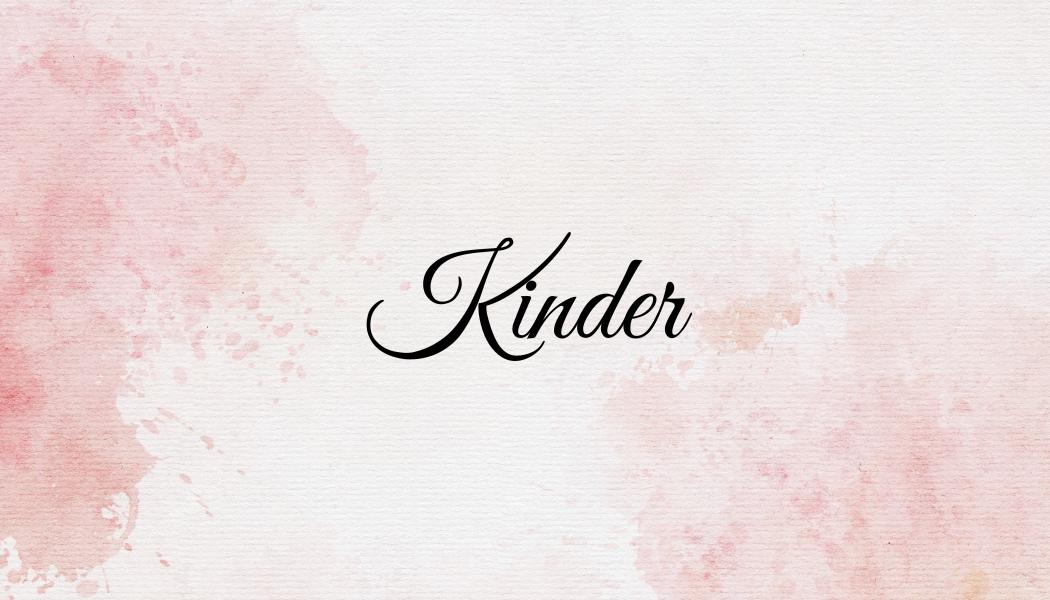 Budgetplaner / Binder A6 Wabenmuster (geflochten)