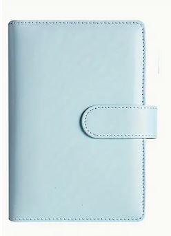 Budgetplaner (Einfarbig)