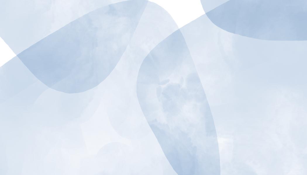 Budgetplaner / Binder A6 Wabenmuster (geflochten)