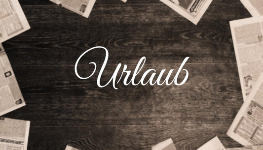 3/6/9/12 oder 15 Kategorien (Inlays) für A6 Binder - Zeitungsstil